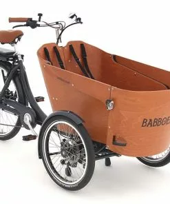 Babboe Carve-E 450Wh