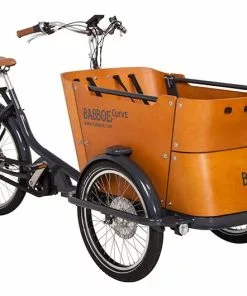Babboe Curve Mountain 500Wh