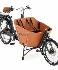 Babboe Mini-E 450Wh