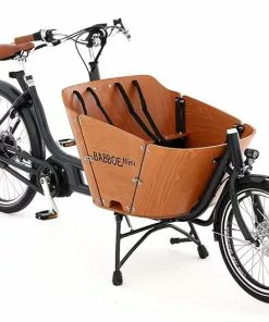 Babboe Mini Mountain 400Wh