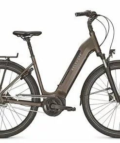 Kalkhoff Image 3.B Move