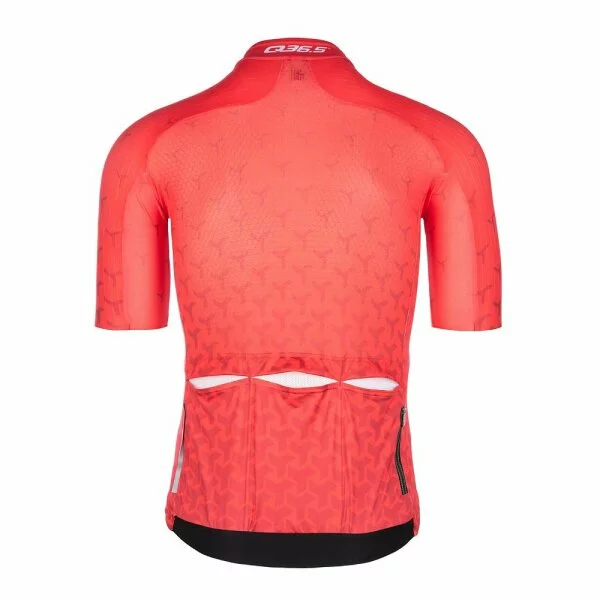 Q36.5 Trikot Kurzarm R2 Y Red – Bild 2