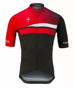Wilier Kurzarmtrikot Maglia RIGO